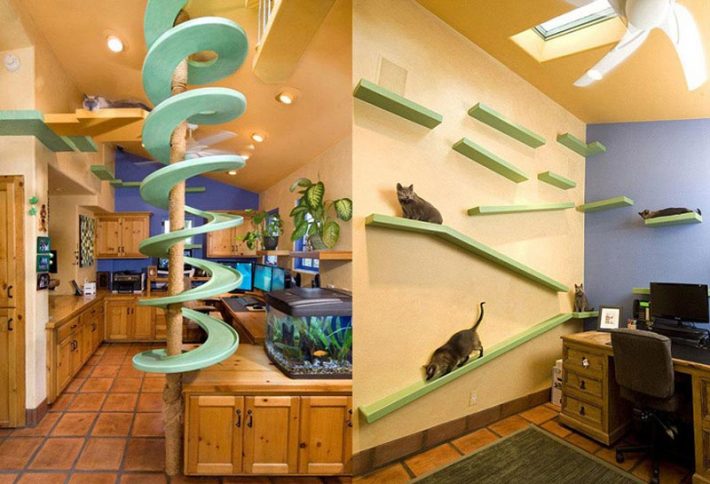 Incredible-Home-Catwalks-Make-for-Purr-fectly-Happy-Felines-s2