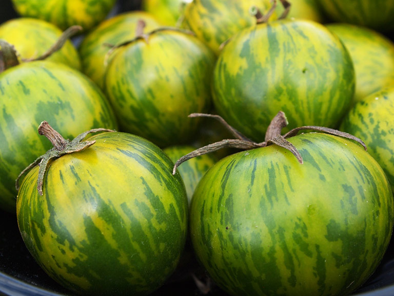 Color and Flavor - Heirloom Tomatoes Varieties