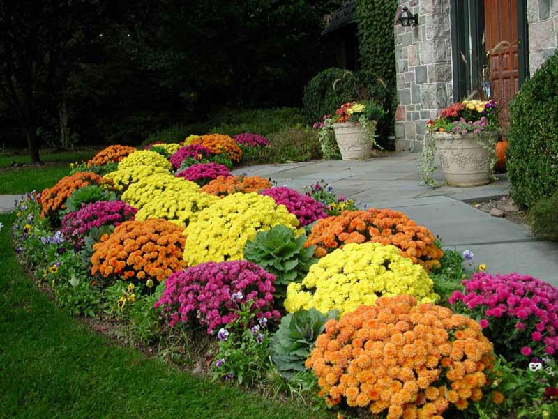 Big-Gardens-ideas-10