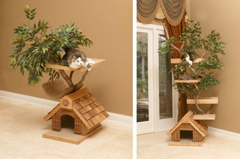 Cat-Furniture-Design-Ideas-2