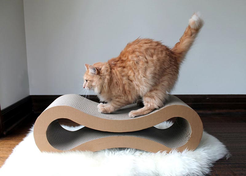 Cat-Furniture-Design-Ideas-3