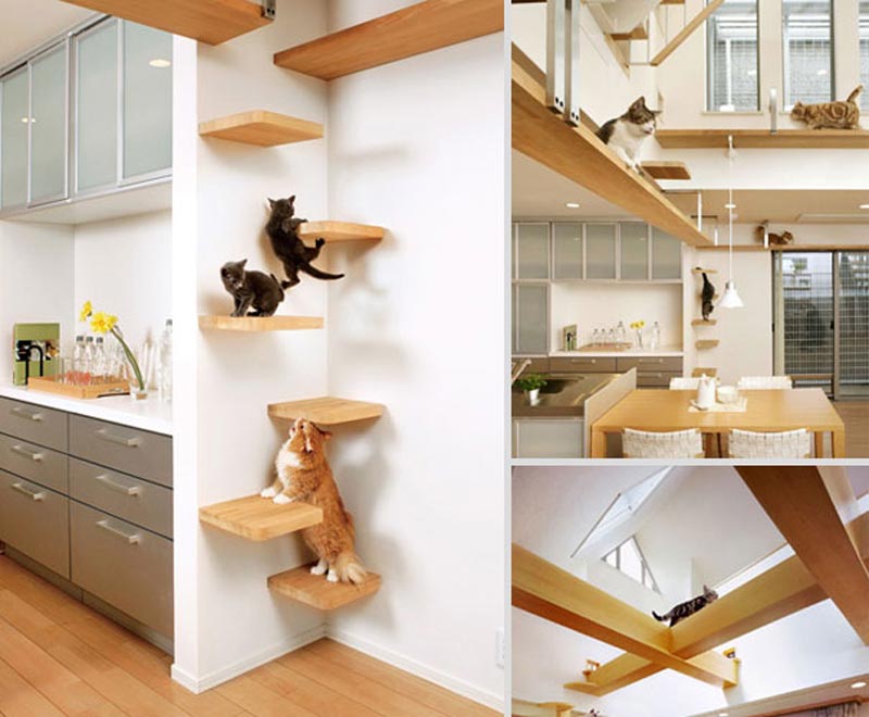 Cat Furniture Design Ideas Quiet Corner