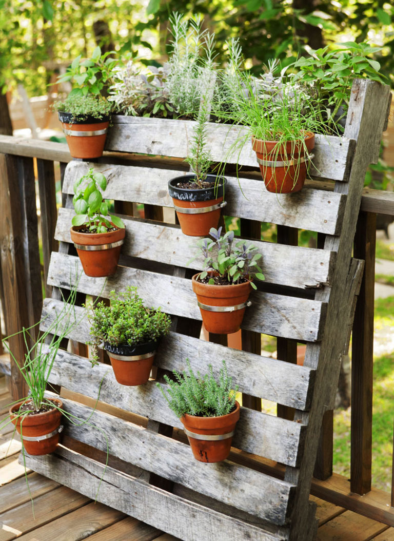 Container Gardening Ideas - Quiet Corner