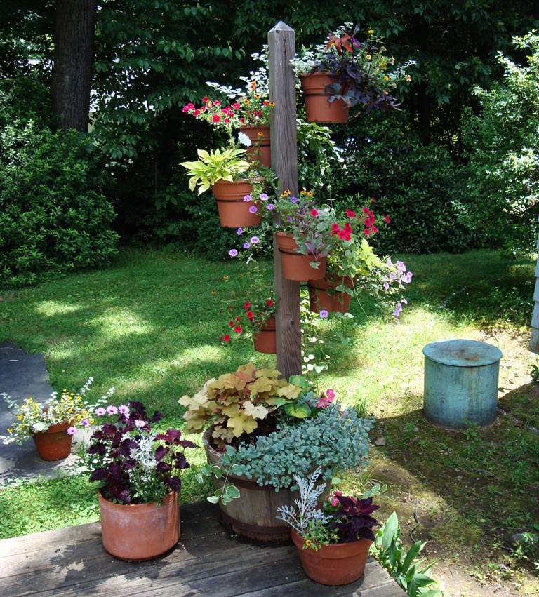 Container Gardening Ideas - Quiet Corner