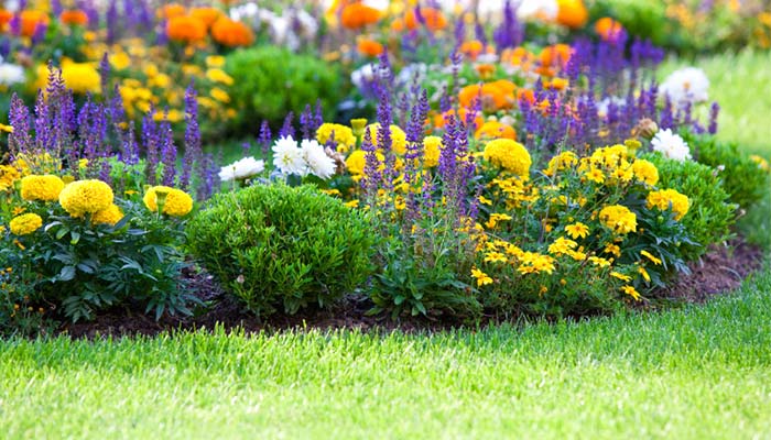 Gardening Tips for Summer