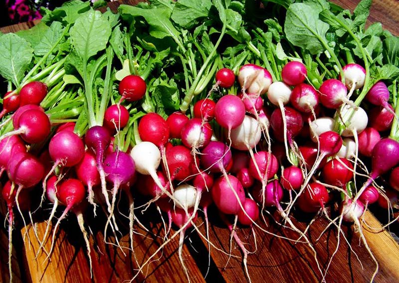 How to Grow Beets