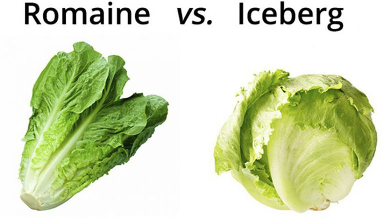 Lettuce Health Benefits