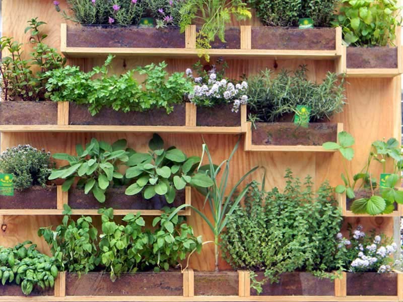 Vertical Vegetable Garden ideas