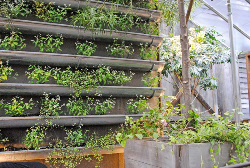 Vertical Vegetable Garden ideas