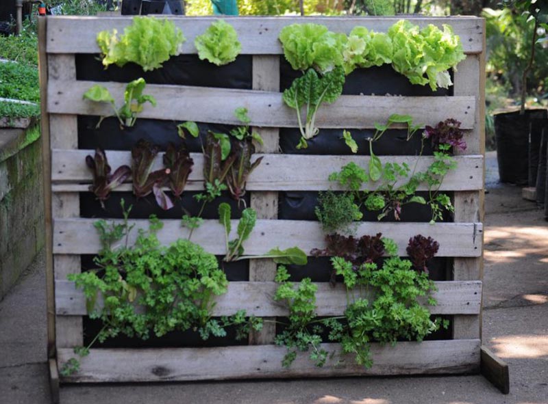 Vertical Vegetable Garden ideas