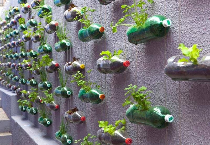 Vertical Vegetable Garden ideas