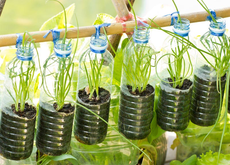 Vertical Vegetable Garden ideas