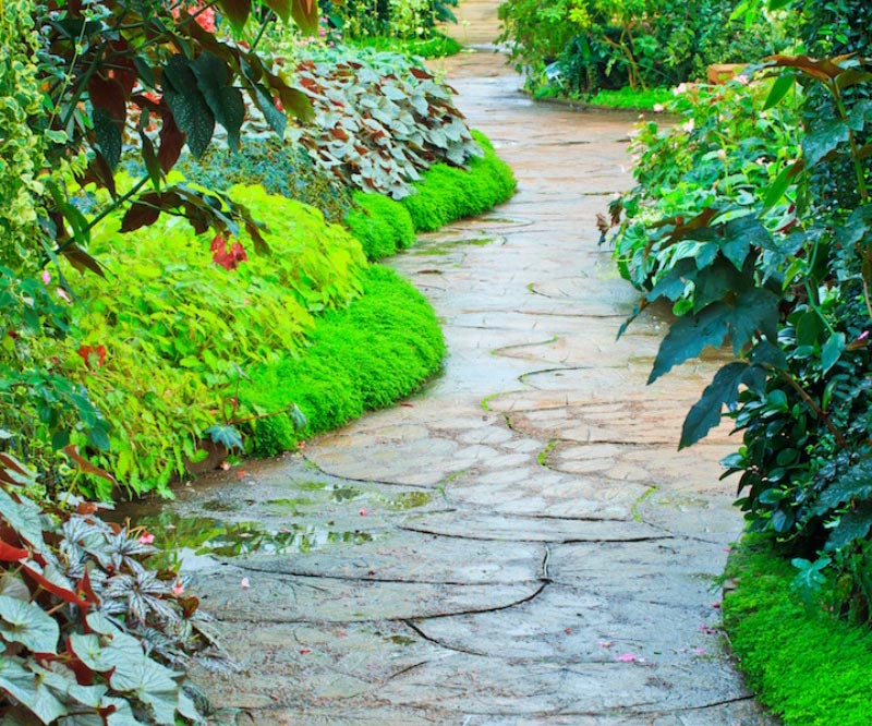 Walkways and Garden Path - Quiet Corner