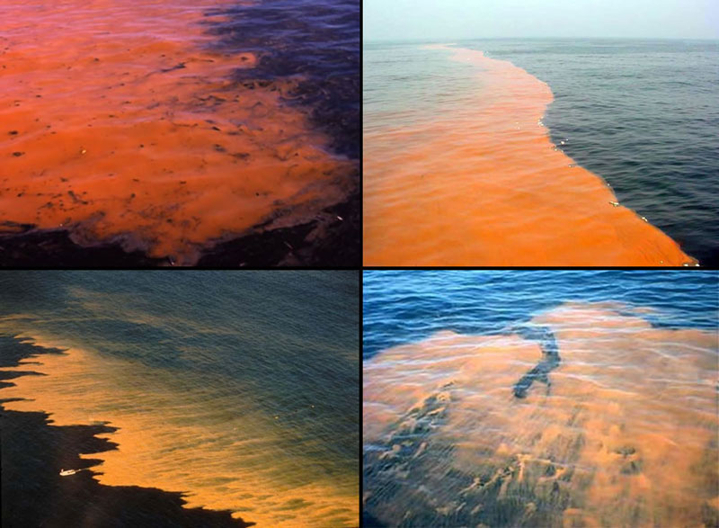 extraordinary natural phenomena Red tide