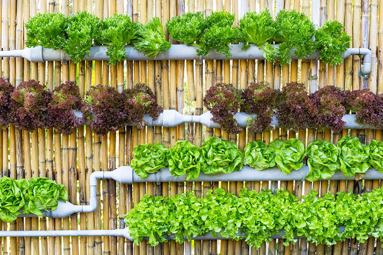 Vertical Vegetable Garden Ideas