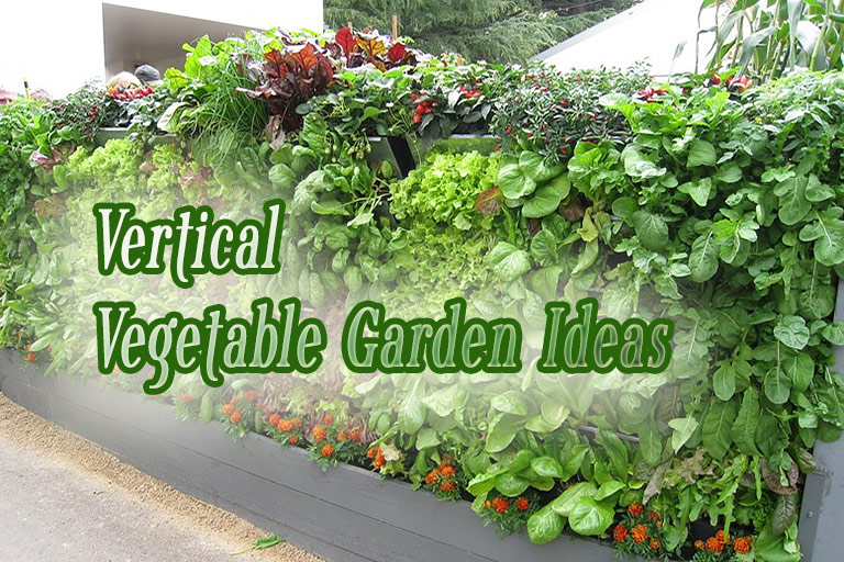 vegetable vertical garden quiet corner element vertically growing plants beauty add