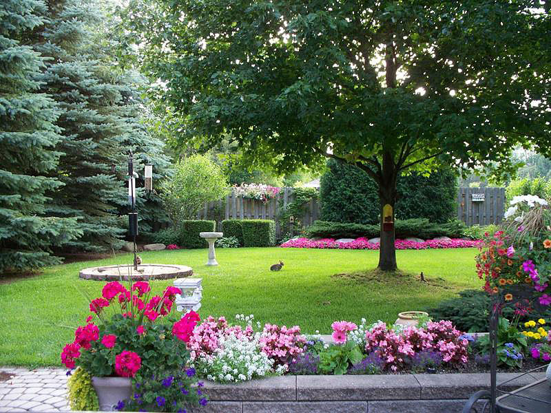 Backyard Landscape Design Ideas (1)