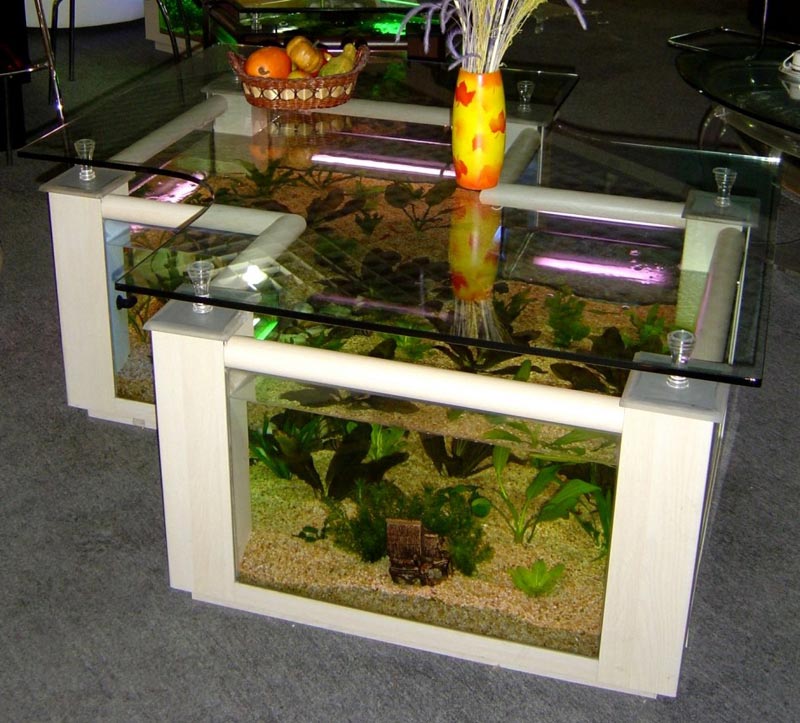 Beautiful Coffee Table Aquariums (2)