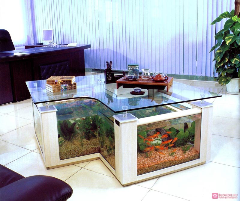 Beautiful Coffee Table Aquariums (3)