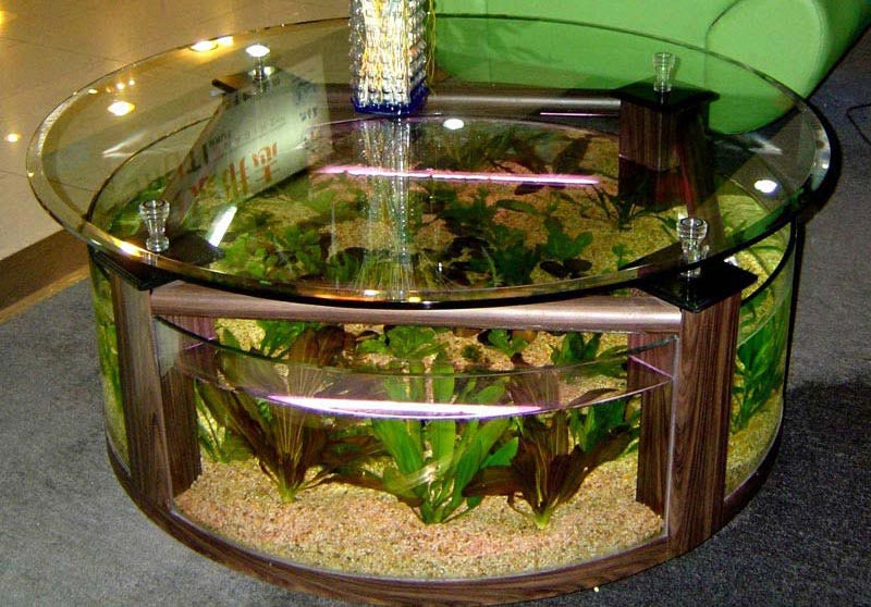 Beautiful Coffee Table Aquariums (4)