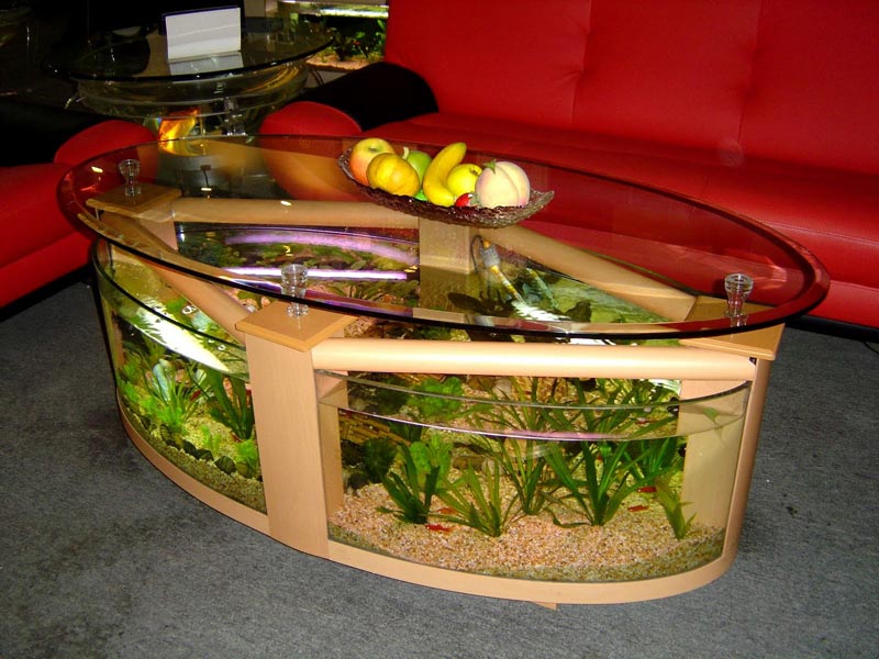 Beautiful Coffee Table Aquariums (5)
