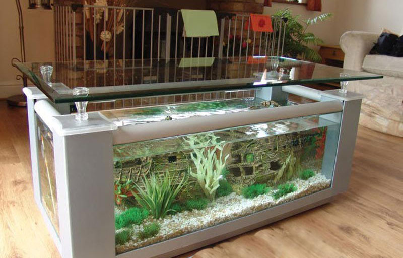 Beautiful Coffee Table Aquariums