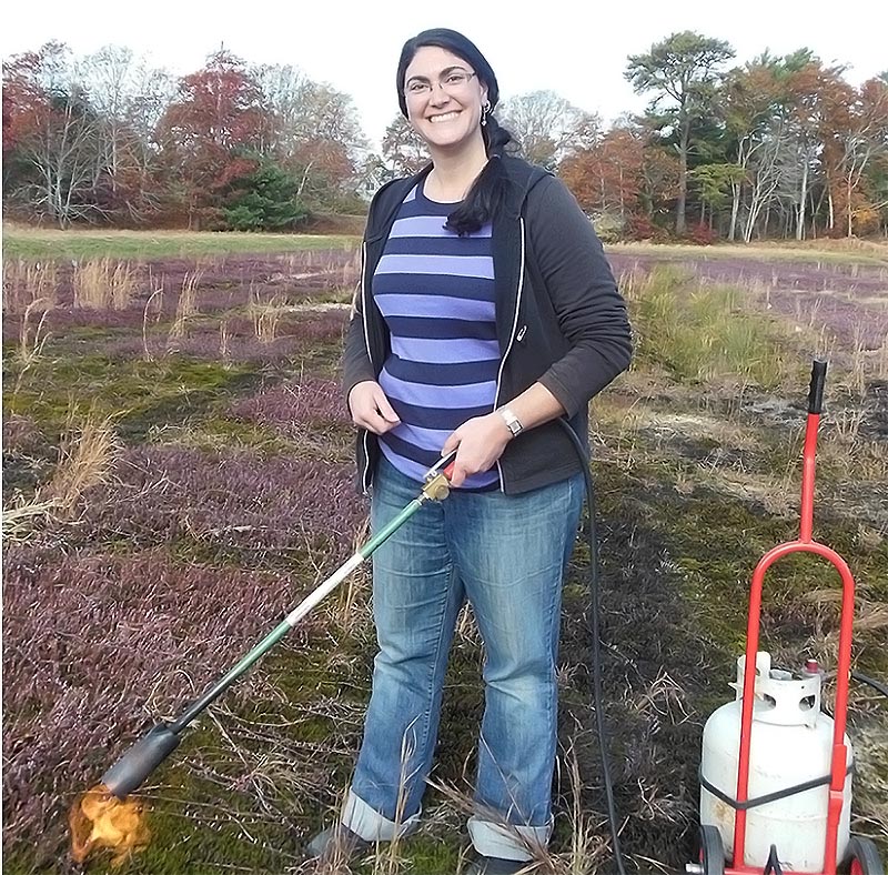 Weed Control Techniques