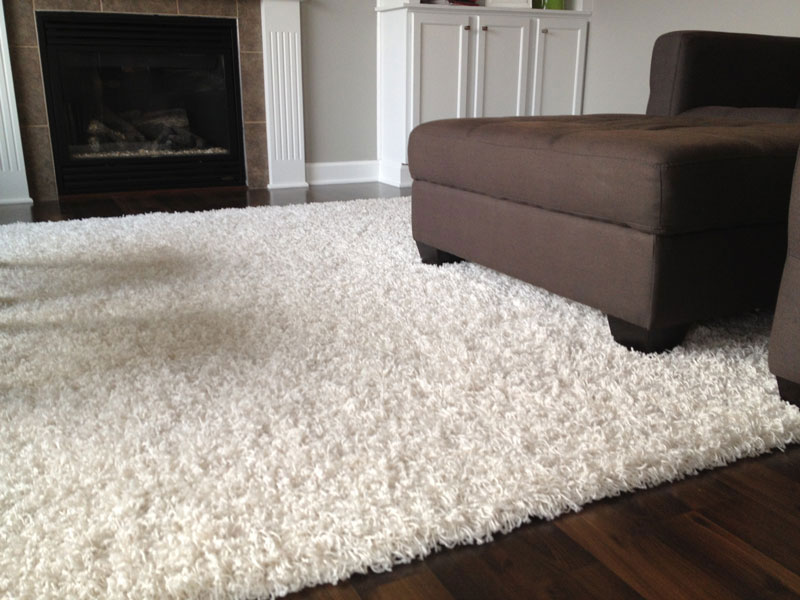 Carpet Ideas and Pictures (14)