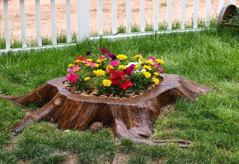 DIY Garden Projects and Ideas (10)
