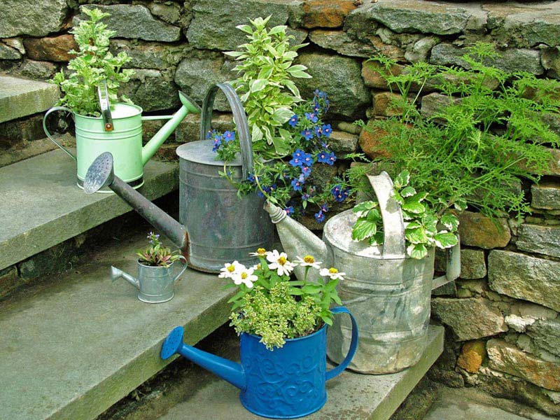 DIY Garden Projects and Ideas (11)