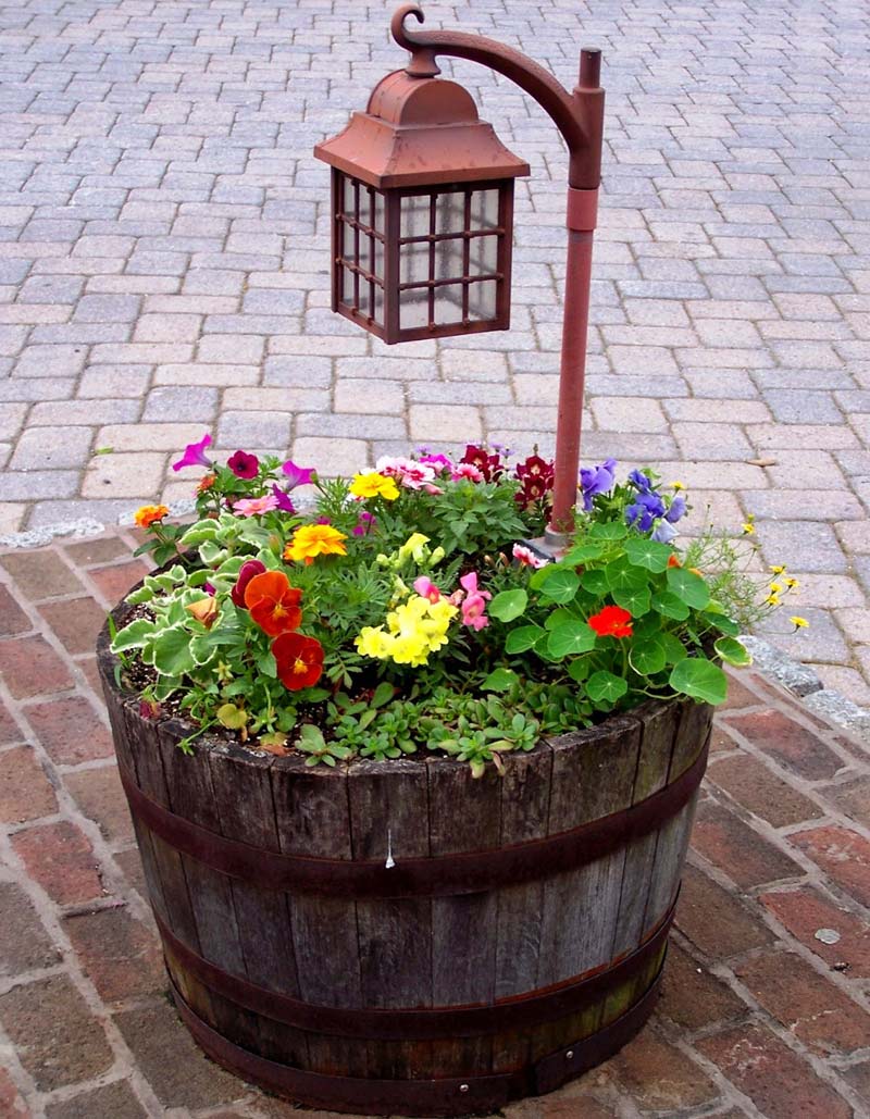 DIY Garden Projects and Ideas (12)