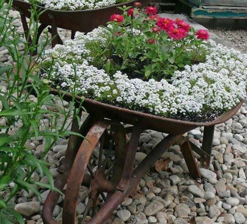 DIY Garden Projects and Ideas (9)