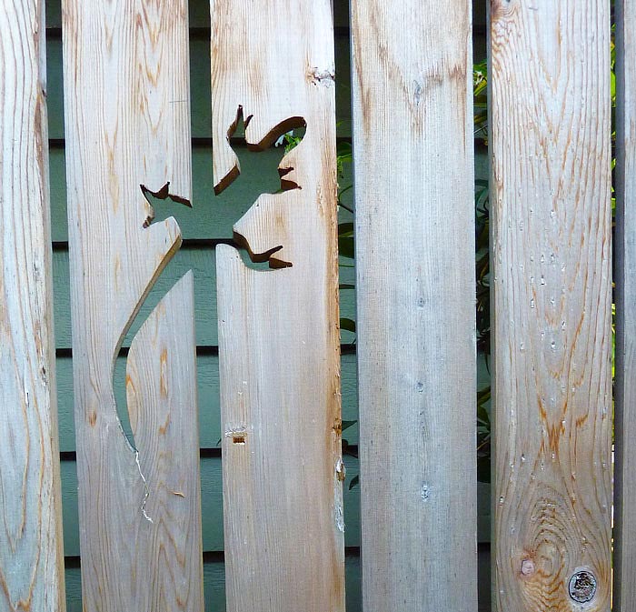 Fantastic Backyard Fences 