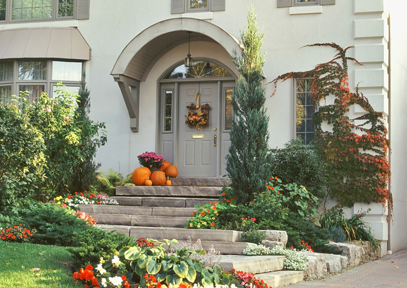 Front Door Entrance Ideas