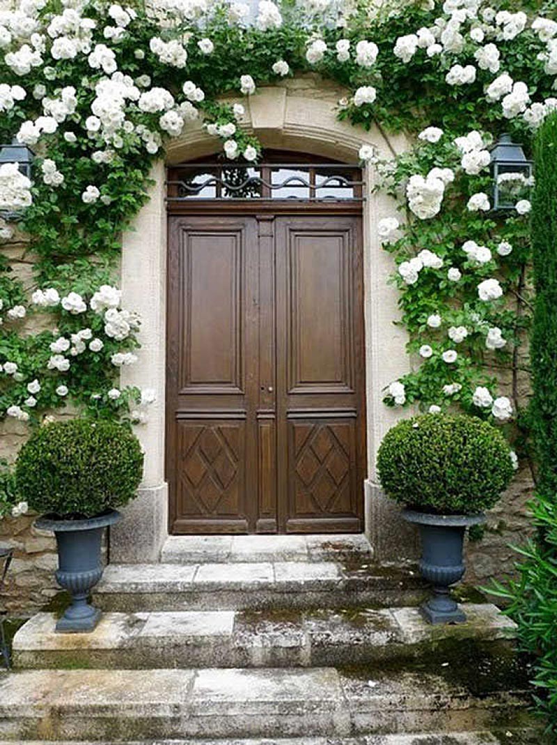 Front Door Entrance Ideas