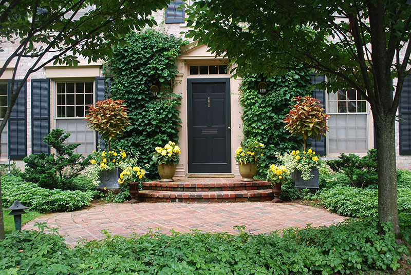 Front Door Entrance Ideas