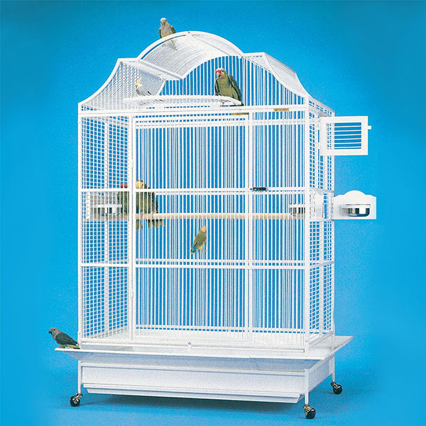 How to Choose a Proper Bird Cage
