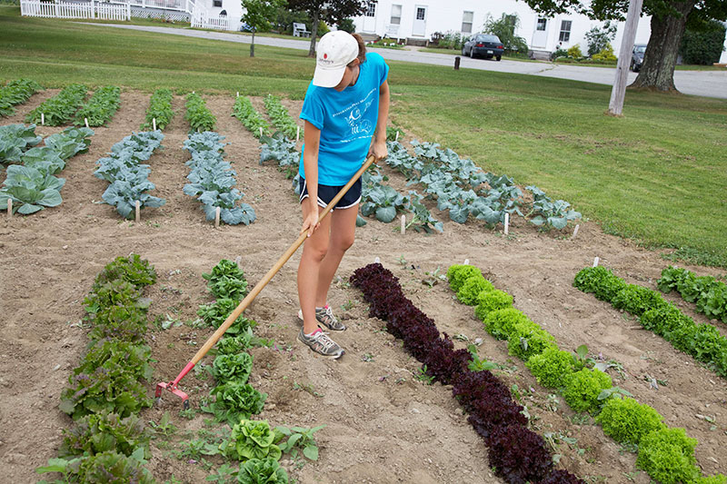 Weed Control Techniques