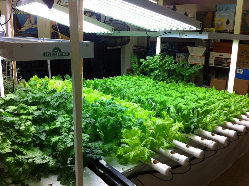 hydroponic gardening tower