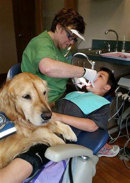 JoJo The Dog Comforts Kids At Dentist