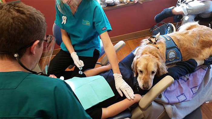 JoJo The Dog Comforts Kids At Dentist