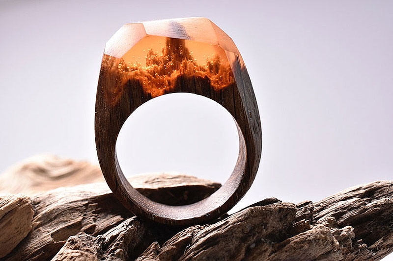 Secret Worlds Inside Wooden Rings By Secret Wood