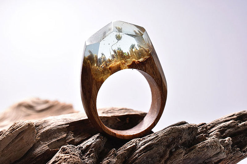 Secret Worlds Inside Wooden Rings By Secret Wood