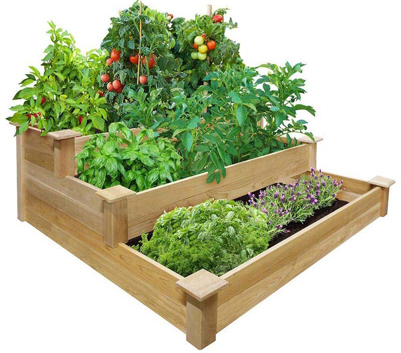 Vegetable Gardening with Raised Beds (10)