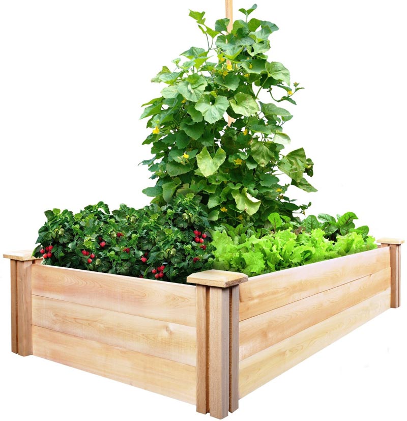 Vegetable Gardening with Raised Beds (11)