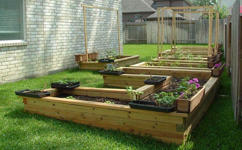 Vegetable Gardening with Raised Beds (12)