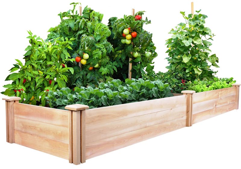 Vegetable Gardening with Raised Beds (15)