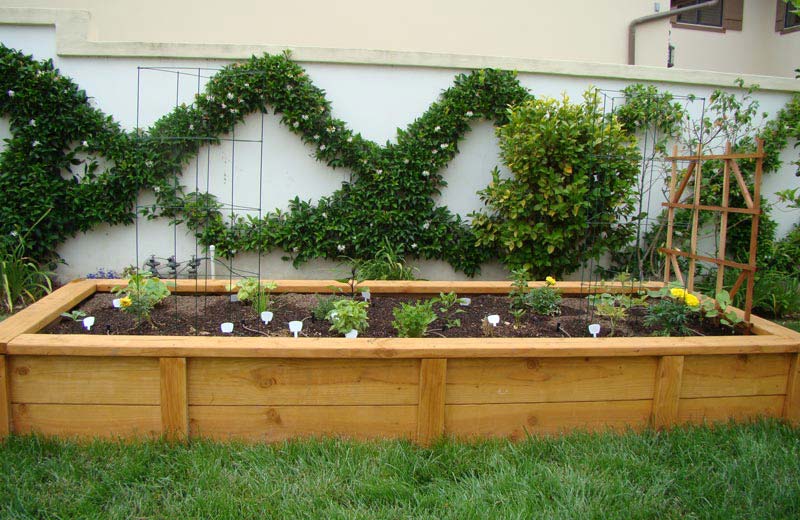 Vegetable Gardening with Raised Beds (16)