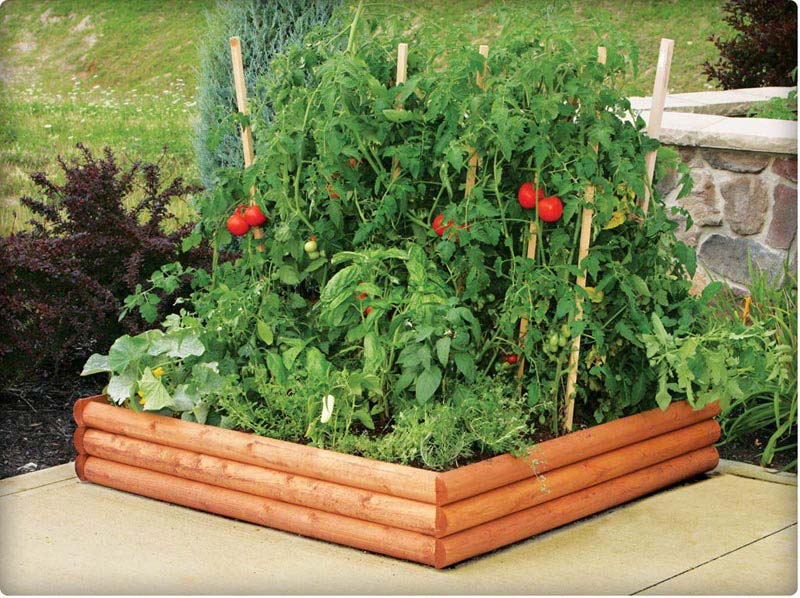 Vegetable Gardening with Raised Beds (3)