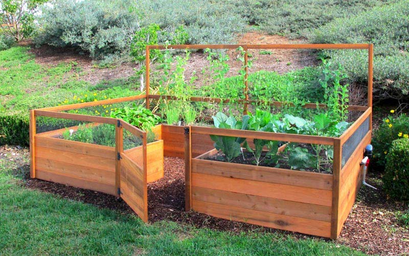 Vegetable Gardening with Raised Beds